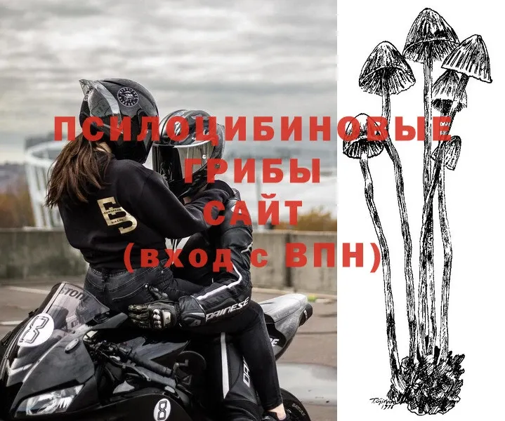 Псилоцибиновые грибы MAGIC MUSHROOMS  Кадников 