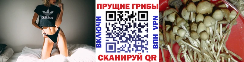 хочу   OMG как войти  Псилоцибиновые грибы GOLDEN TEACHER  Кадников 